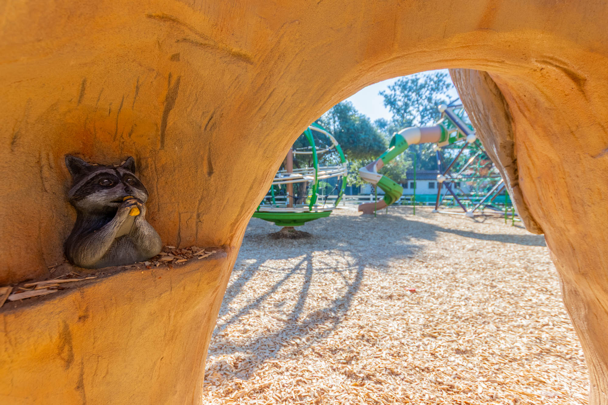 Raccoon Detail on ID Sculpture Boulder at Lacy Park Playground